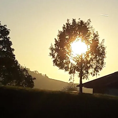 Gasthof Hirschen בית הארחה Langenegg