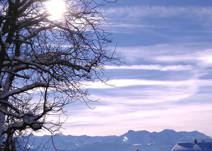 Gasthof Hirschen 2* Langenegg