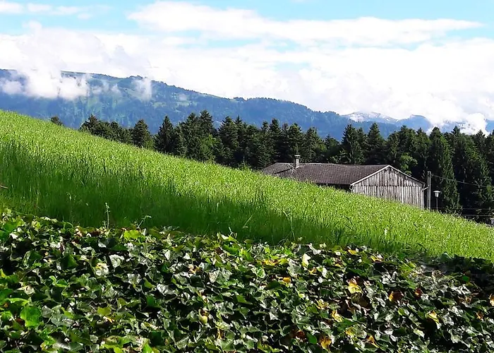 Maison d'hôtes Gasthof Hirschen